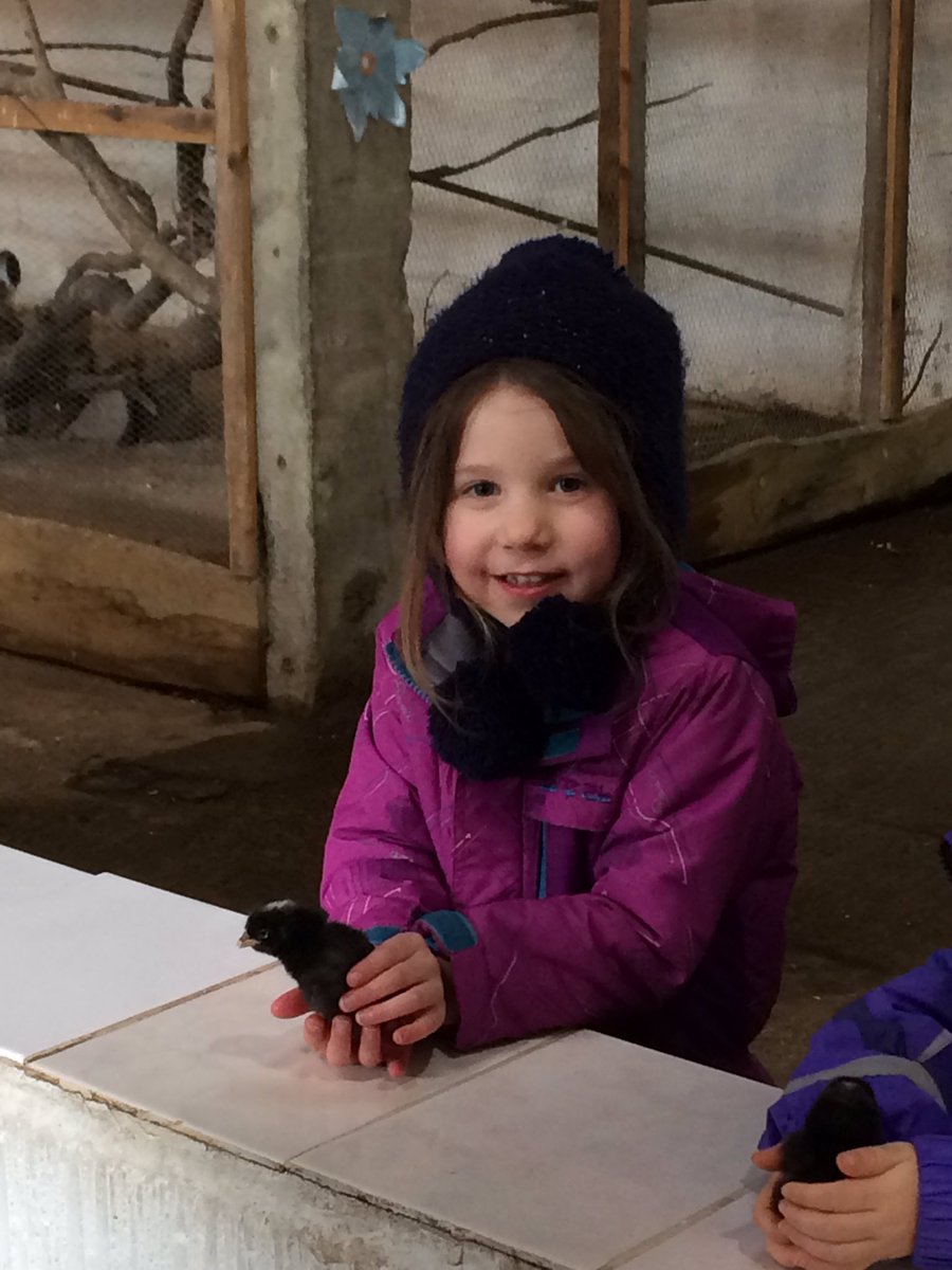 LittleArdvreck's tweet photo. Little Ardvreck’s trip to Auchingarrich Wildlife Centre. https://t.co/TAdxoPtuX9