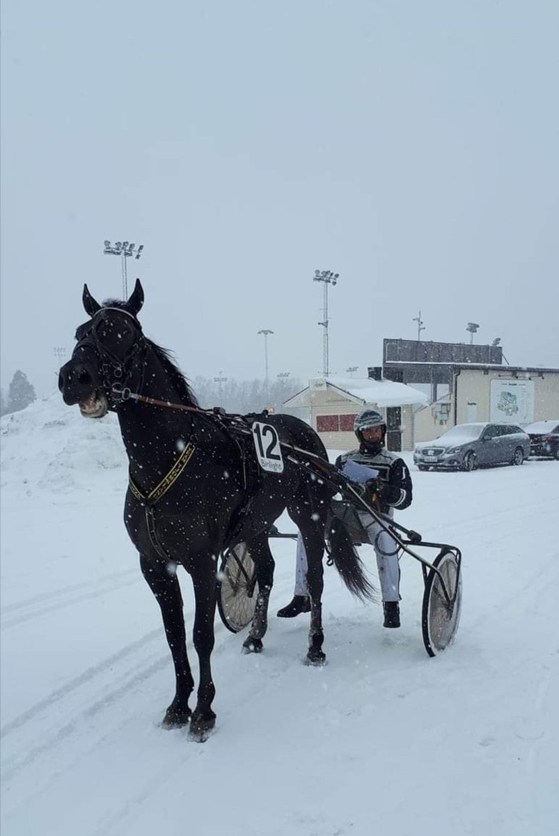 Valle Lukas tar karriärens första seger idag.<a href="/jimmy_jonsson77/">Jimmy Jonsson</a> i sulkyn och <a href="/TeamTjomsland1/">Team Tjomsland</a> tränar.