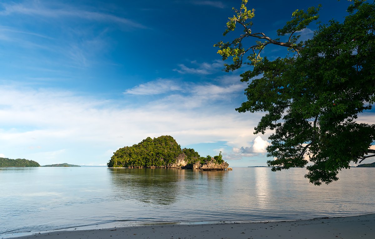 StayRajaAmpat's tweet photo. #RajaAmpat : So much more than #Kri and #diving. West Waigeo's islands and reefs are amazing. Manyaifun homestays have made it even cheaper to get there and explore. Want go to #Wayag? How does from USD70/EUR62 per person sound? Check out the options at https://t.co/u8TjsEjTNX https://t.co/5K48RuphkH