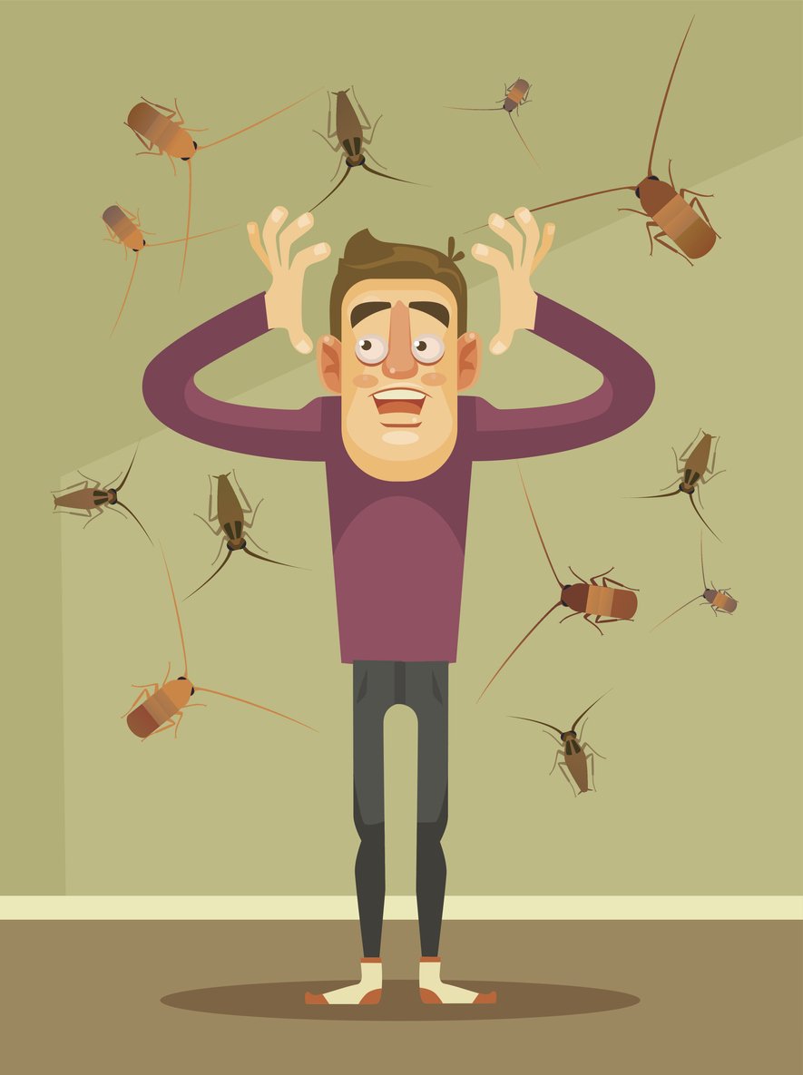 Some aspects of DIY #pest control are good for homeowners to start with – particularly preventative strategies – but for a complete, diligent job in eliminating large infestations, you’ll need a professional #pestcontrol company: ow.ly/wmdV30o01Rg