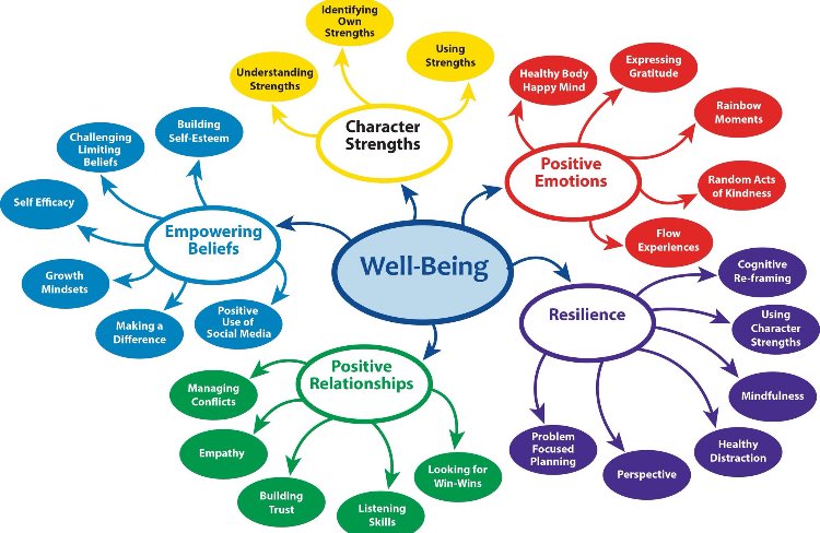Wellbeing means so much more than just feeling good! #DIAInclusion #IDIA