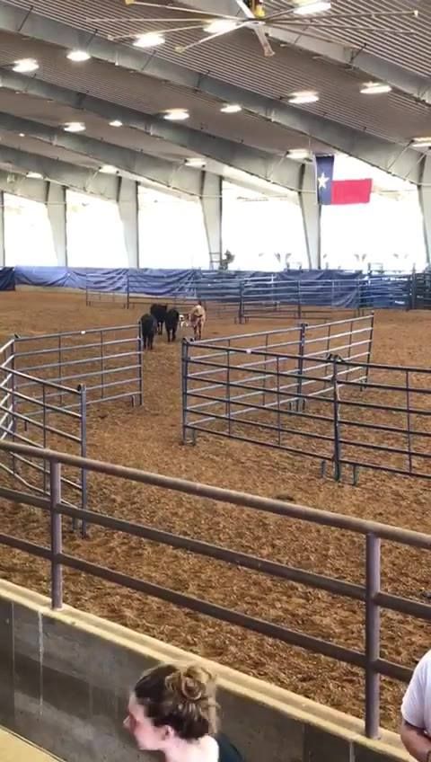 WildG0ld's tweet photo. Jeff Christiansen keeps his dogs in happy and healthy with the help of our canine Wild Gold Performance line!

Order online now through March 31 and receive free shipping! Shop: https://t.co/6TrKFfxNQN

https://t.co/0zcKUEaext https://t.co/6kWgwib3cp