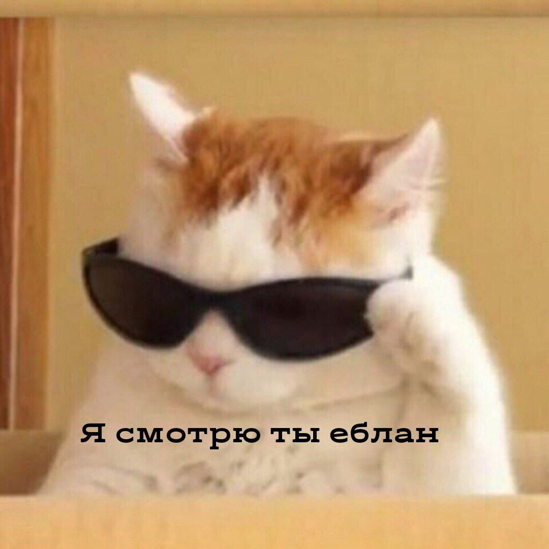 rus_lol_'s tweet photo. @purpleyooou https://t.co/3ugUCRn8Qg