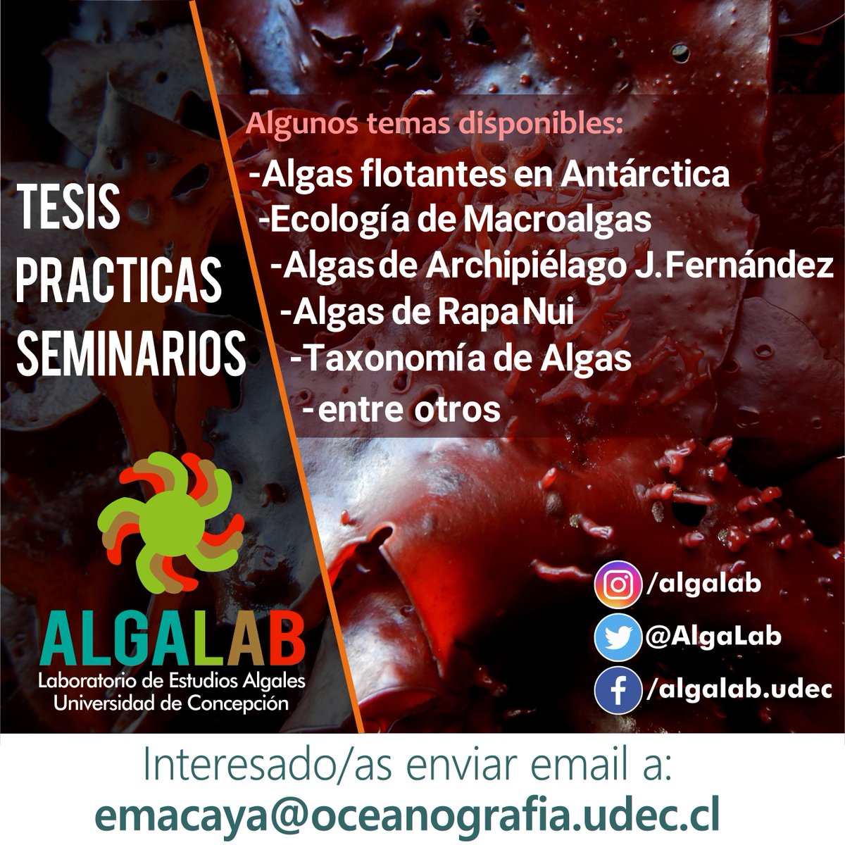 AlgaLab's tweet photo. Tesis, prácticas, seminarios en el @AlgaLab 🙌 Pueden contactar a @erasmomac https://t.co/PjjmqBpWgk