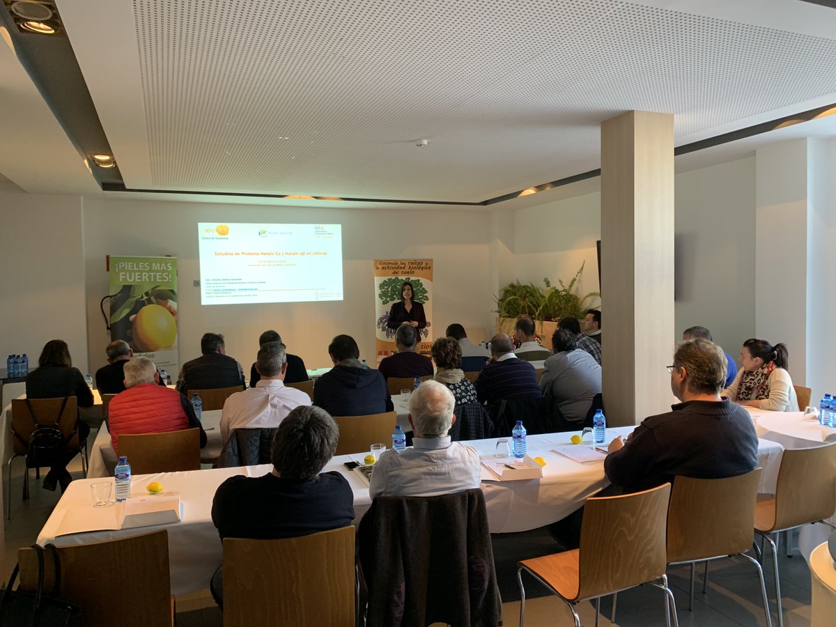 📣<a href="/PlantHealthC/">Plant Health Care</a> presenta en Castellón los resultados de los estudios de la aplicación de la proteína harpin aß (ProAct AA®) en cítricos.

En el evento contaremos con la presencia de expertos⬇️

#planthealthcare #cultivos #bioestimulantes #ProActAA #harpin