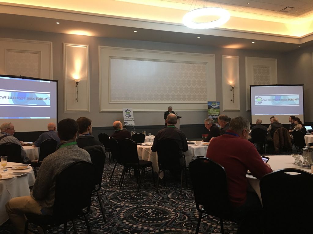 BCWildlife's tweet photo. The #BCWFSelectiveFishingForum is underway.
#SelectiveFishing #Fisheries #bycatch #bc #bcpoli https://t.co/dF6YJFr28M