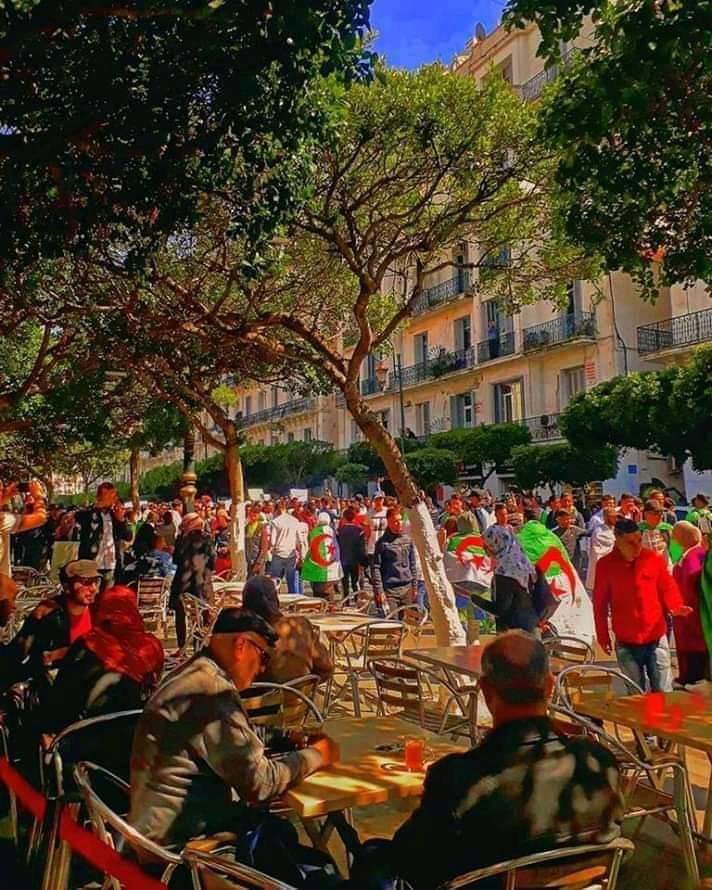 CeliacDzair's tweet photo. Je reçois cette superbe photo/peinture d #Alger 😍 (Place Audin) j'ignore qui en l'auteur, mais elle m'a rappelé un Renoir celèbre, "Le bal du moulin de la galette) #Algérie #لا_لتمديد_العهدة_الرابعة #ترحلو_يعني_ترحلو https://t.co/5IckGrvETl