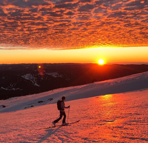 Devon Ski Service tweet media