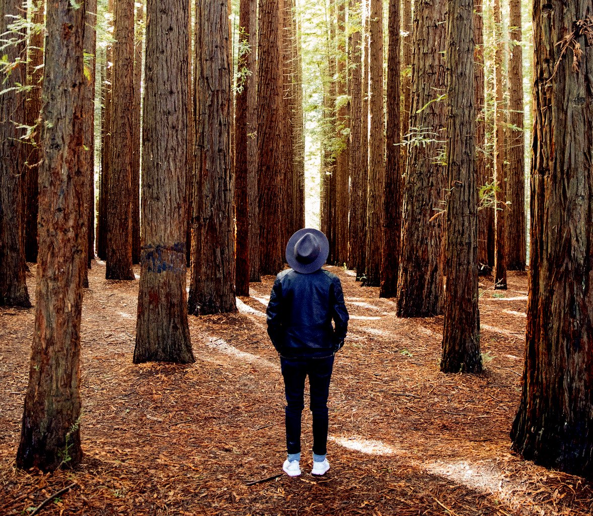 Delight your senses, experience FREY → ow.ly/WT7r30o1ZQf #LiveFREY #ecofriendly #lifestyle #natural #BCorp #clothingcare #environmentallyfriendly #organic #nontoxic #vegan #crueltyfree #laundrydetergent #outdoors #scent #fragrance #WednesdayThoughts