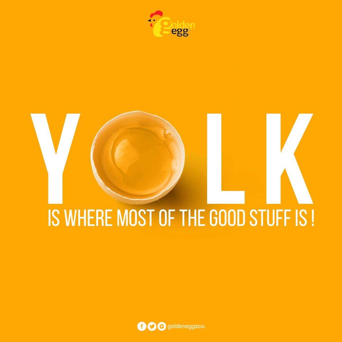 GoldenEggsCo's tweet photo. Don’t skip your Yolk! The maximum amount of nutrition is in the yolk, including half of the protein.
#Goldenegg #stayhealthy #Stayenergized #organic #natural #agrifed #healthy #nutritious #layerfarming #protein #research #poultry #GoldenD #Kids #eggs #healthygrowth #Healthybody https://t.co/OvDRKTOX9l