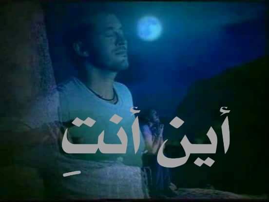 أحلم بكِ سراً أكتبكِ علناً أخاطبكِ صمتاً أعشقكِ خيالاً ولا أعرف لكِ عنواناً .!!