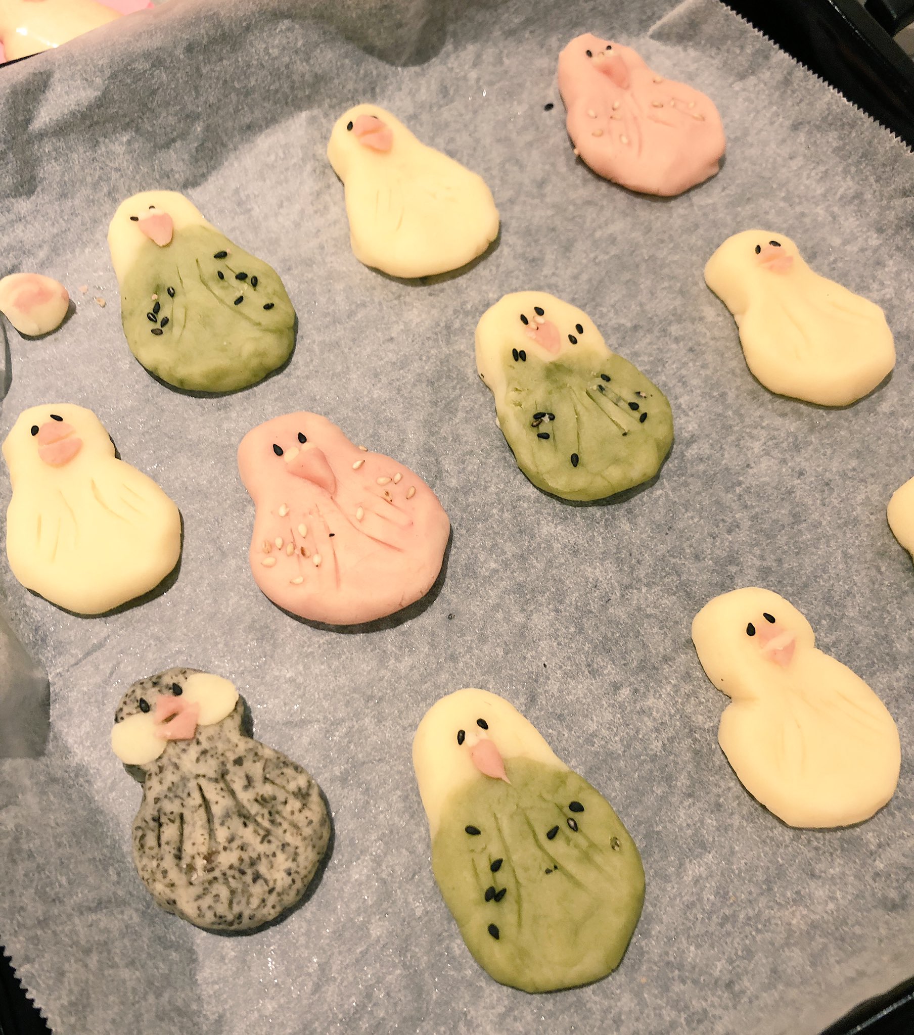 Twitter 上的 雑貨と小鳥屋 Petbox1976 今何してるかというと バレンタインに 小学生の女の子に 手作りクッキーもらったから お返しのインコクッキーを 作っています 楽しい セキセインコ 文鳥 文鳥クッキー インコクッキー ホワイトデー T Co