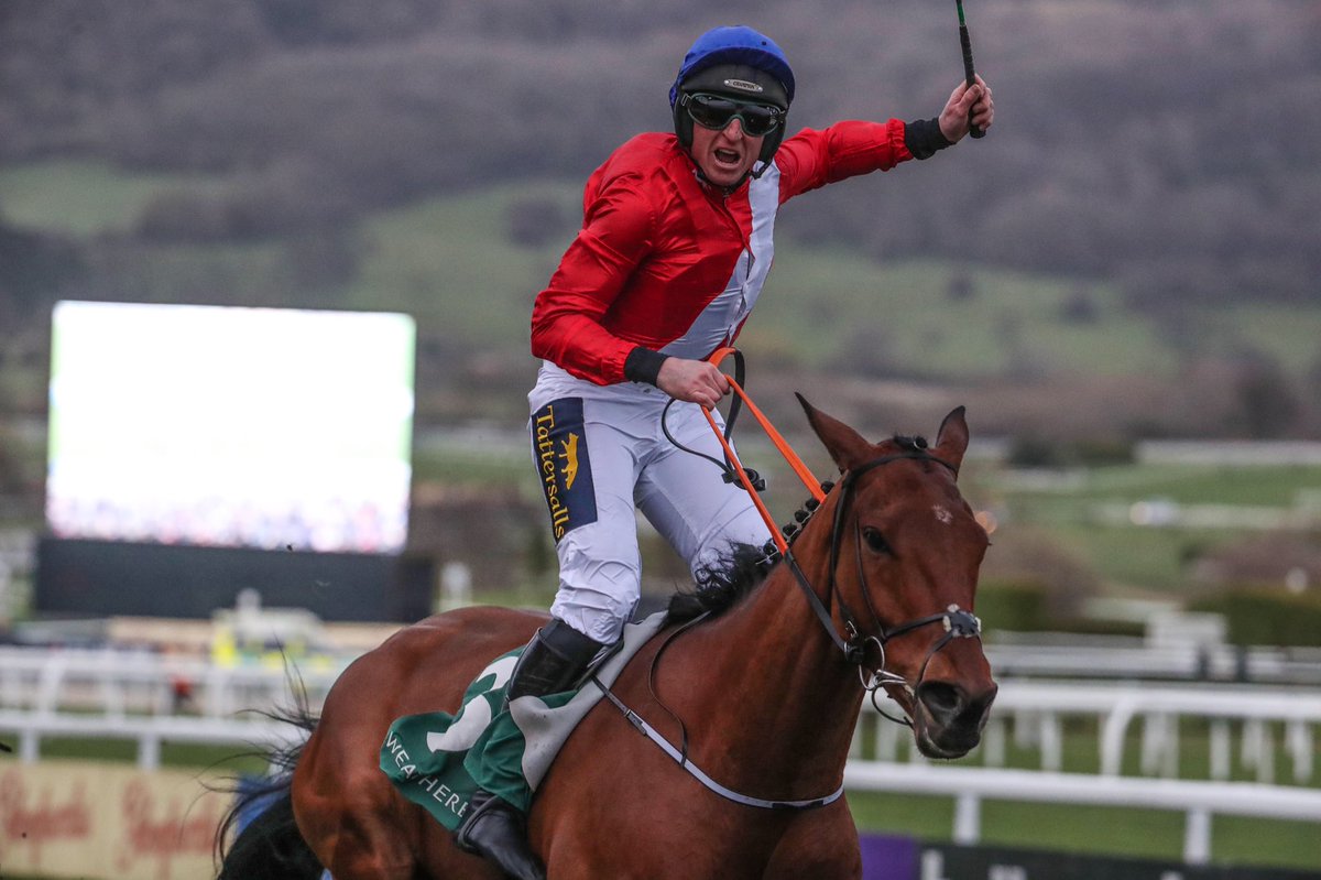 NavanRacecourse's tweet image. Envoi Allen remains unbeaten and wins the Champion Bumper at the Cheltenham Festival. 

He won the Future Champions Listed Bumper here in December - and a future champion is what he is. Massive congratulations to @CoddJJ &amp;amp; @gelliott_racing. 

#NavanForm #GreenCorner