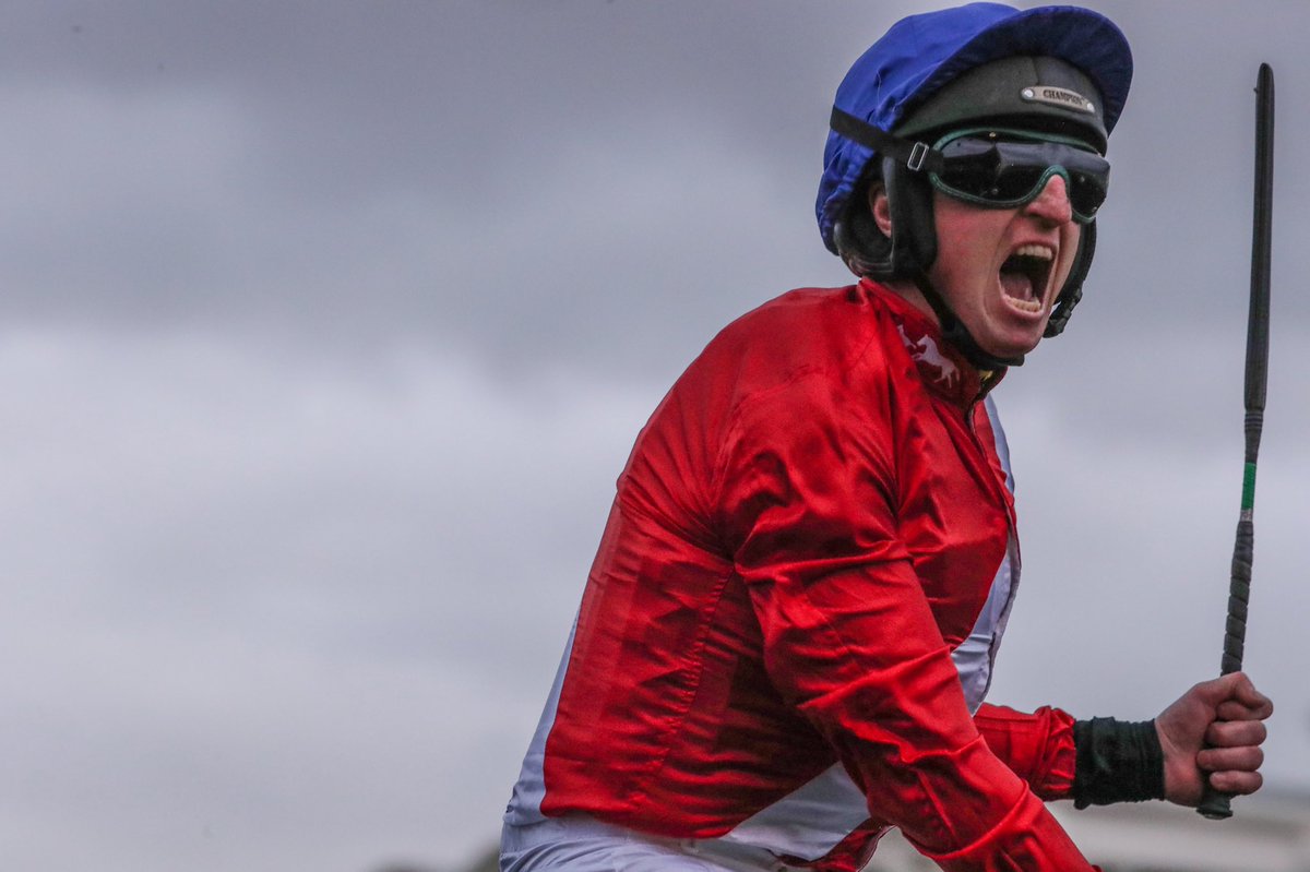 NavanRacecourse's tweet image. Envoi Allen remains unbeaten and wins the Champion Bumper at the Cheltenham Festival. 

He won the Future Champions Listed Bumper here in December - and a future champion is what he is. Massive congratulations to @CoddJJ &amp;amp; @gelliott_racing. 

#NavanForm #GreenCorner