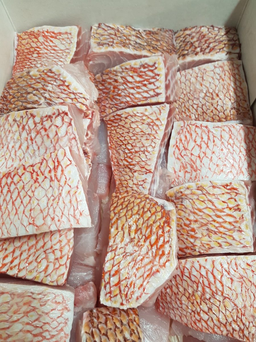 Who am I?? #dailyfish #fish #fishquiz #quiz #justforfun #test