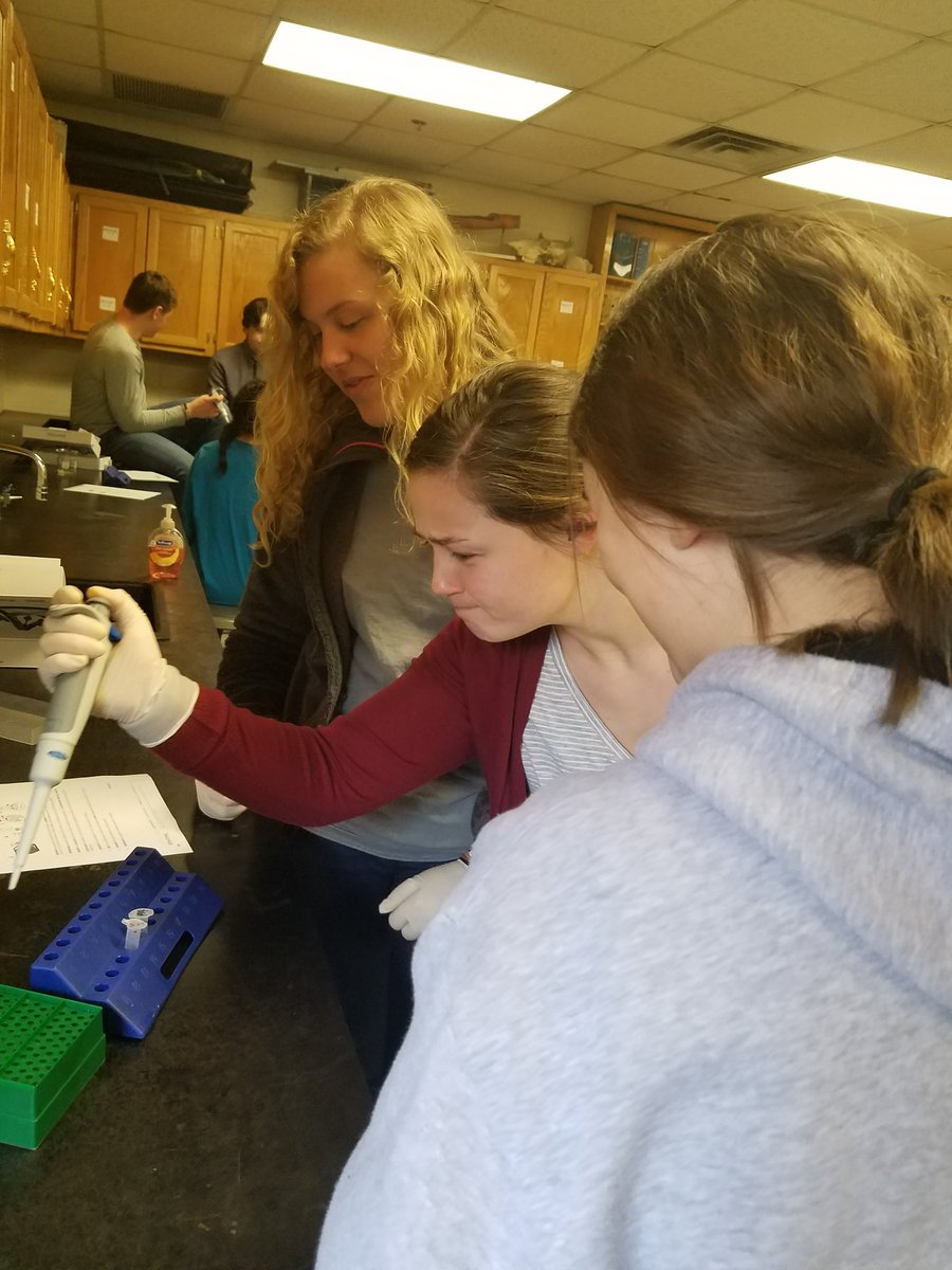 pcbiomed's tweet photo. BI - 4.1.2 identifying bacterial contamination of well water https://t.co/GL6Pj1ra8u
