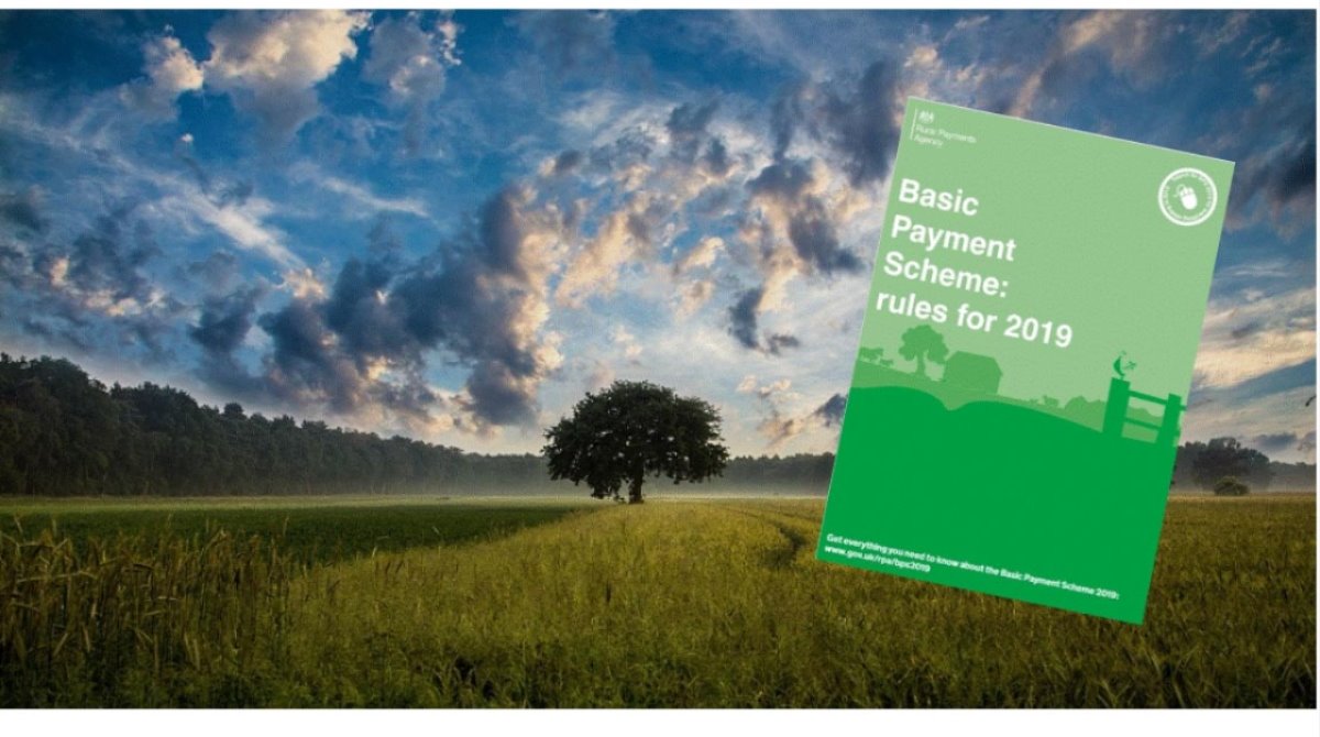 MouleandCo's tweet photo. The BPS 2019  window is open! All guidance can be found here:  https://t.co/b6FJ7ykNug 
Alternatively, if you need any help with registering or updating your 2019 application please call us on 01299 250184 @Ruralpay #wednesdaymotivation #BPS #BPSmadnesshasbegun https://t.co/4pqLVs9S3p