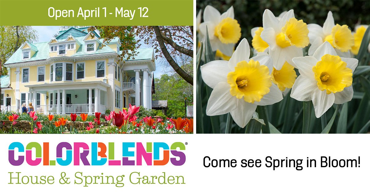 Colorblenders (@colorblends) on Twitter photo 