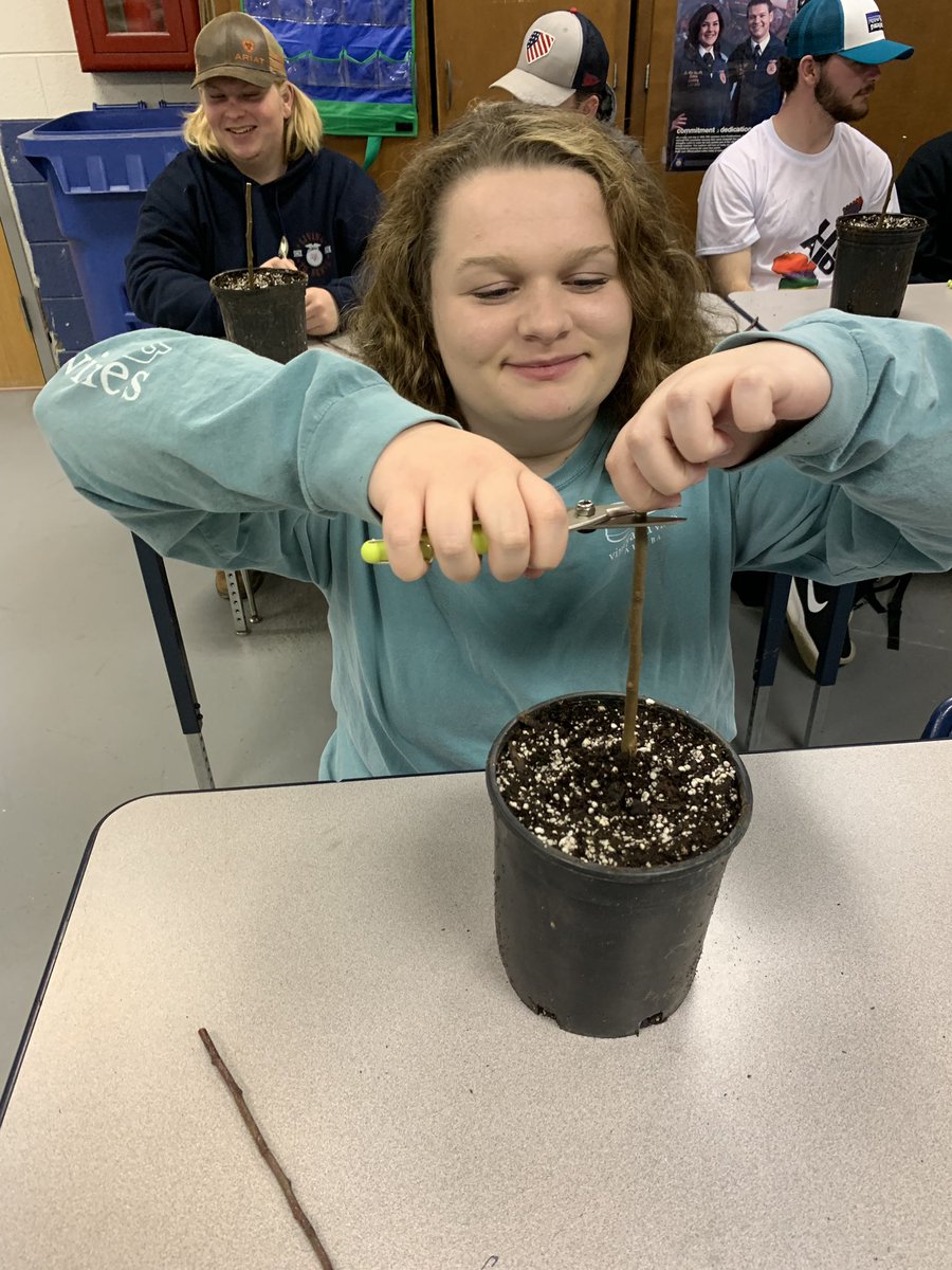 AveryFFA2's tweet photo. Today our Hort I and Hort II classes had an Apple Grafting Workshop! Thank you Bill Hoffman and Doug Hundley for sharing your apple knowledge and grafting skills with us! @avery_ffa @averyhighschool @bwtaylor71 https://t.co/ID8Bb3DaTr