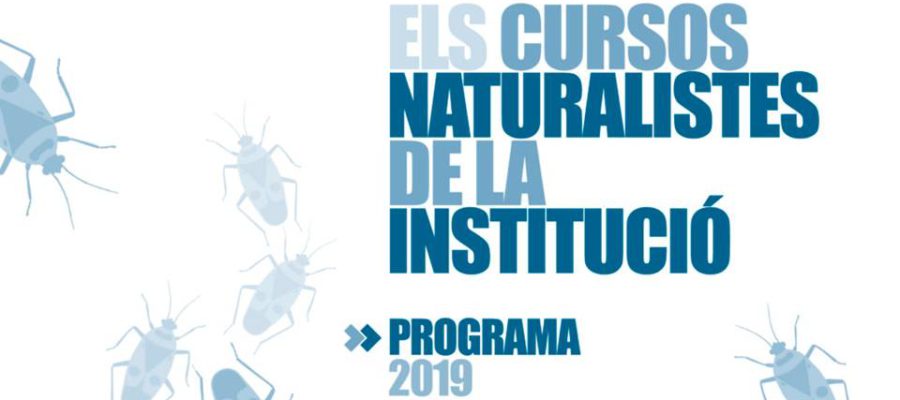 Tornen els cursos naturalistes de la Institució Catalana d'Història Natural (ICHN-<a href="/iec/">IEC</a>)! Vegetació, insectes, aràcnids i molt més🐝🌳🕷

Aquest 2019, s'inclouen sortides per donar a conèixer projectes nostres com el Projecte Gat Fer! 😺

+info🔗gno.cat/tornen-cursos-…
