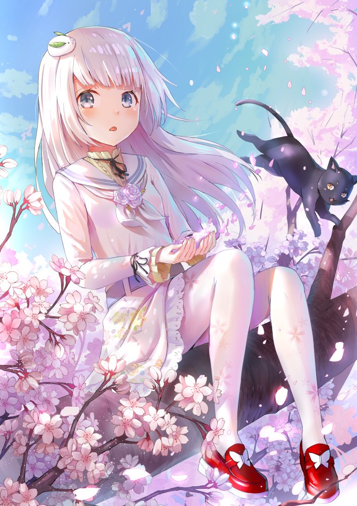Kết quả hình ảnh cho anime girl spring