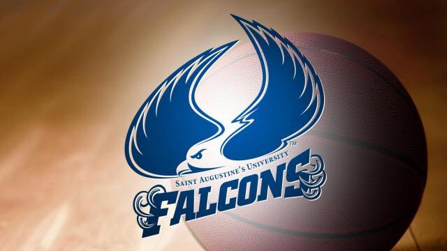 tsmith2213's tweet image. Appreciate Coach Johnson and the rest of the Saint Augustine staff for the offer #GoFalcons ✊🏽
