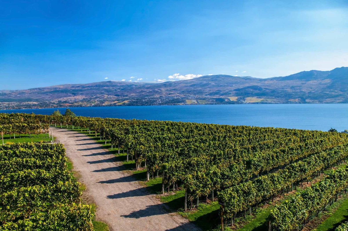 googopogo's tweet image. The Okanagan is the place you want to visit in 2019! Beautiful weather and exciting events just around the corner! #penticton #kelowna #vernon #wine #golf #recreation #mountainbike #bike #boating #nightlife #fun #sun #relaxation #beautiful #water #swim #leisure #experience