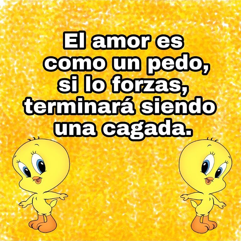 Featured image of post Piolin Frases Motivadoras Top frases de motivaci n y motivadoras cortas bonitas palabras y mensajes por esta raz n frases top se ha encargado de coleccionar los mejores mensajes motivadores cortos