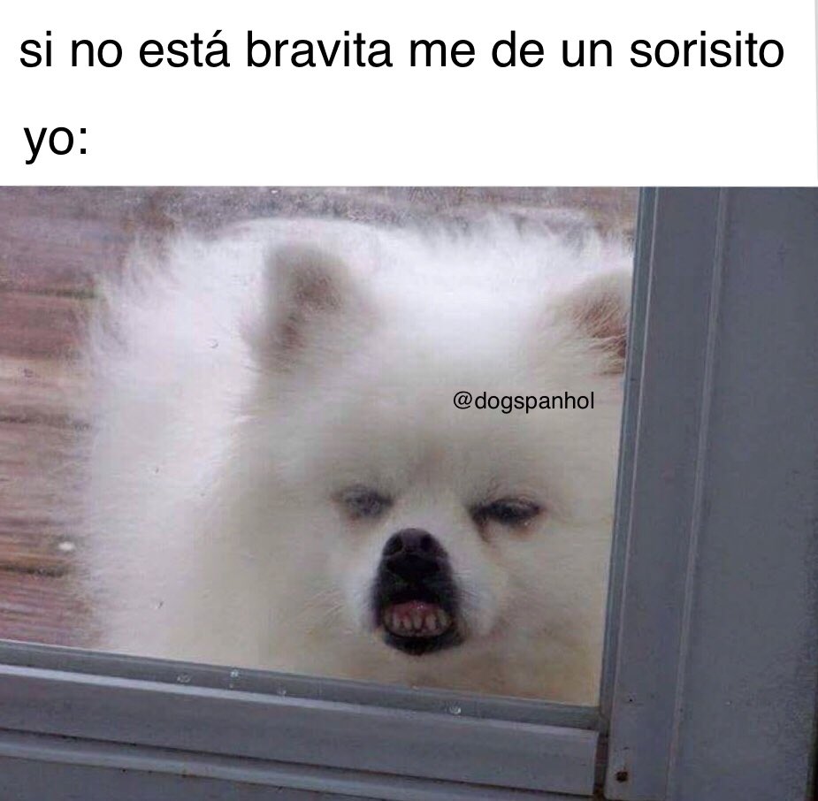 dogspanhol's tweet photo. https://t.co/d3lXCYgrYq
