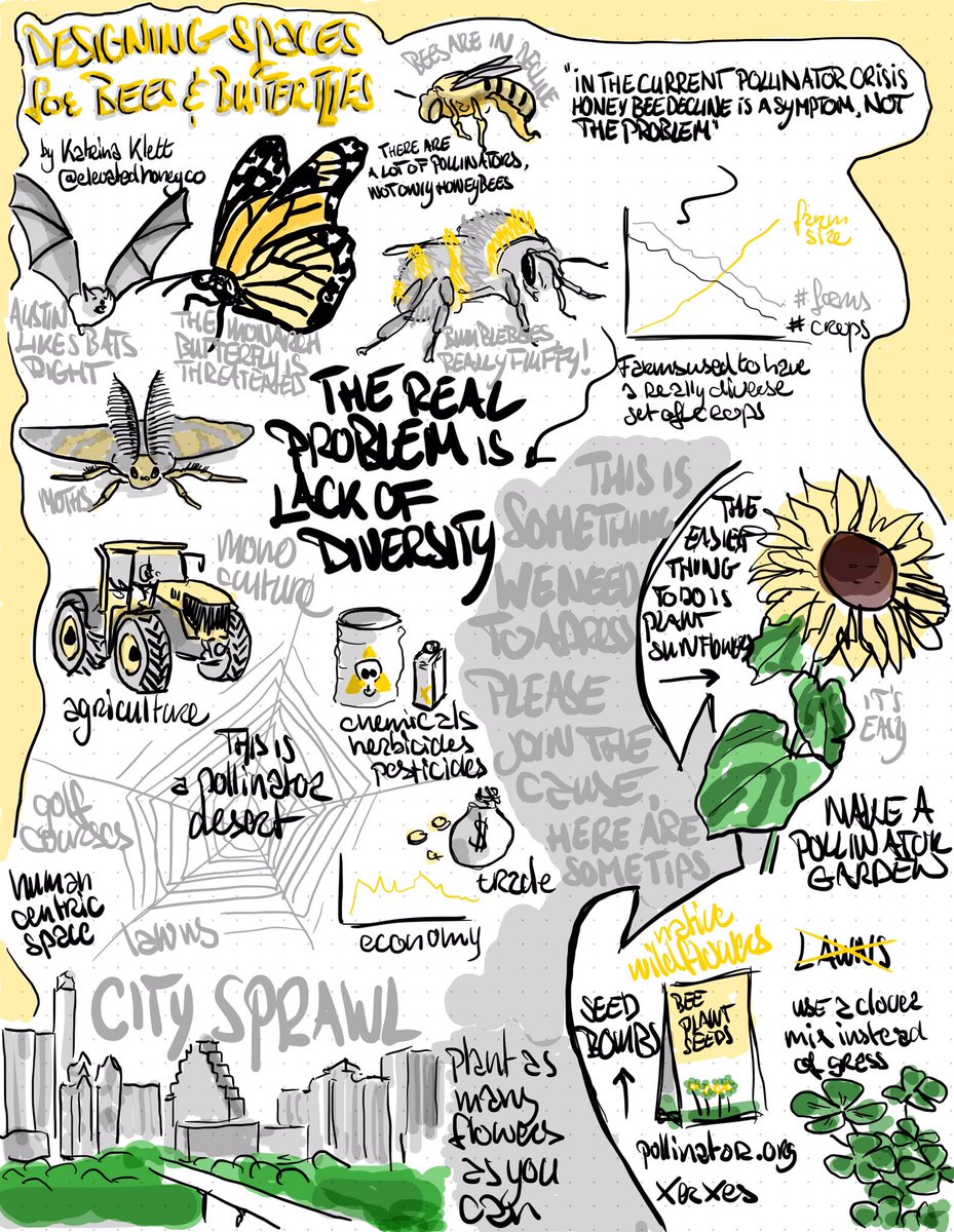 Justus Sturkenboom tweet media