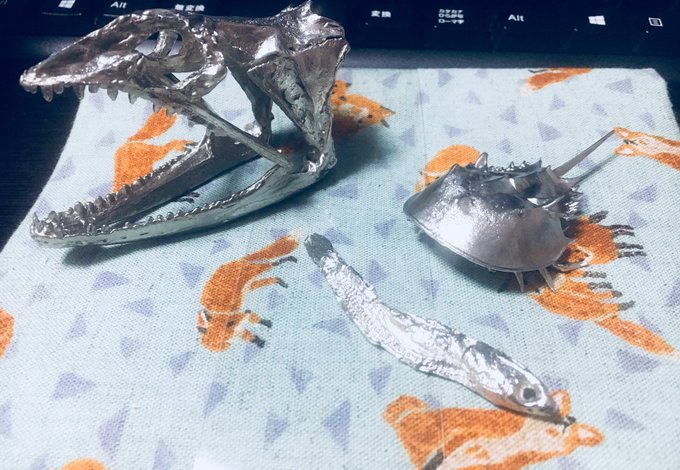 カブトガニのtwitterイラスト検索結果 古い順
