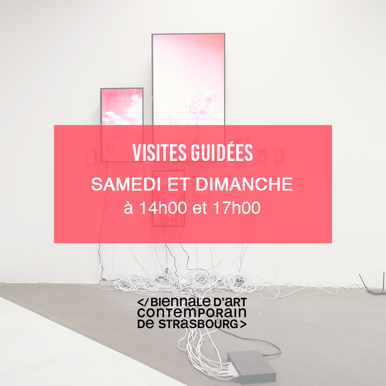 BiennaleStbg's tweet photo. Plus que 3 week-ends pour profiter des visites guidées de la #BiennaleStrasbourg avant fermeture ! 

https://t.co/xZDogeioSu
#Strasbourg @strasbourg https://t.co/hwVrVRtjzK