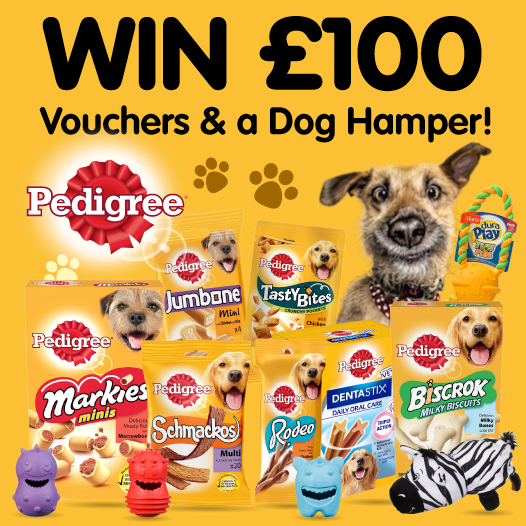 B&M Stores on Twitter "🐶 COMPETITION TIME ENDS FRIDAY 🐶 We're