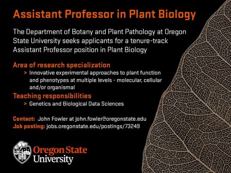 JessieUehling's tweet photo. Job alert! Oregon State University Botany and Plant Pathology dpt seeks an assistant TT plant bio prof, see flyer for details. Great department, wonderful people and research, located in paradise. #dothedamthing please rt https://t.co/1swMeF8dXU