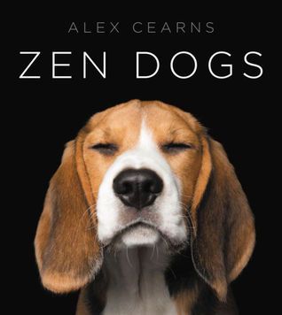 scribblermendez's tweet photo. Do you like looking at dogs? I do. If you do too consider checking this out.
@AlexCearns #ZenDogs https://t.co/3h7qN7Xgja https://t.co/2nJoimbyD2