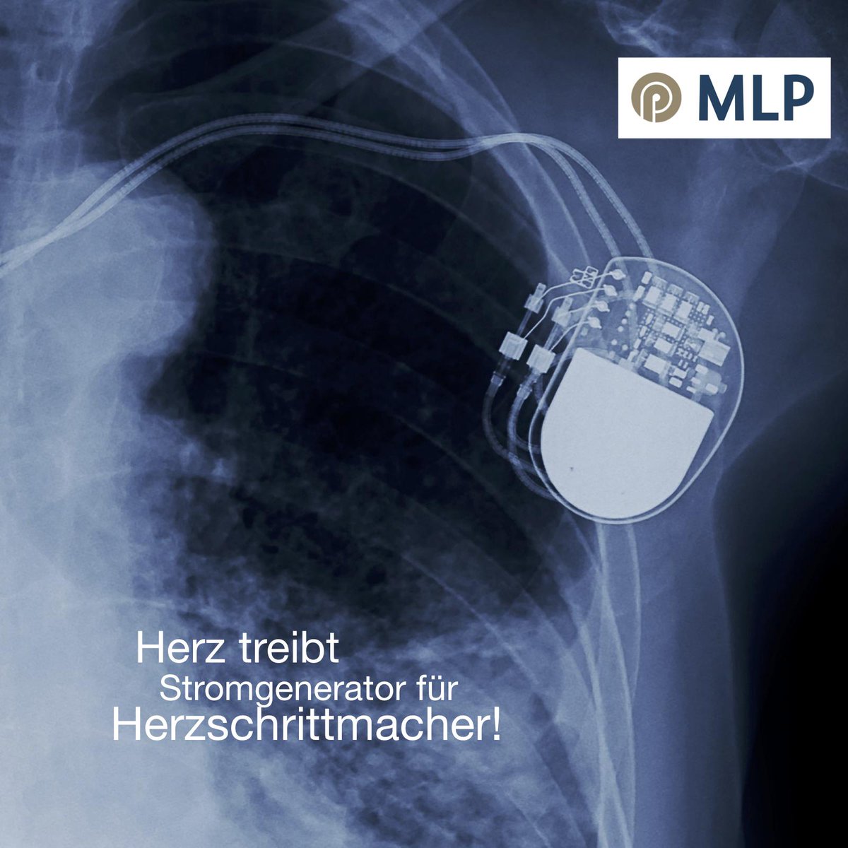 MLP_Hannover tweet media