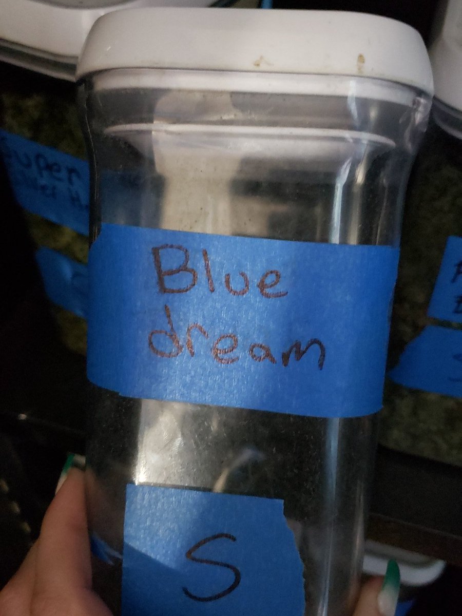 LegalPeaces420's tweet photo. @CoralReefer420 Yes to all 4!! I have my own store, so I sell it as well, definitely in the air, we are almost out!! #bluedream https://t.co/iikeSRs2Bv