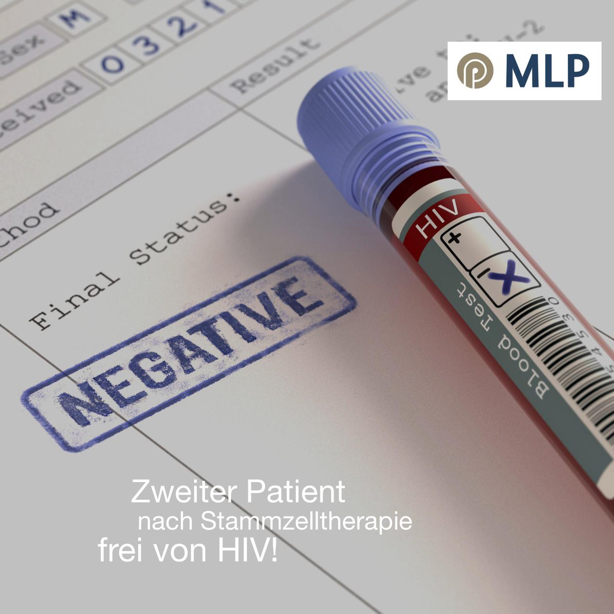 MLP_Hannover tweet media