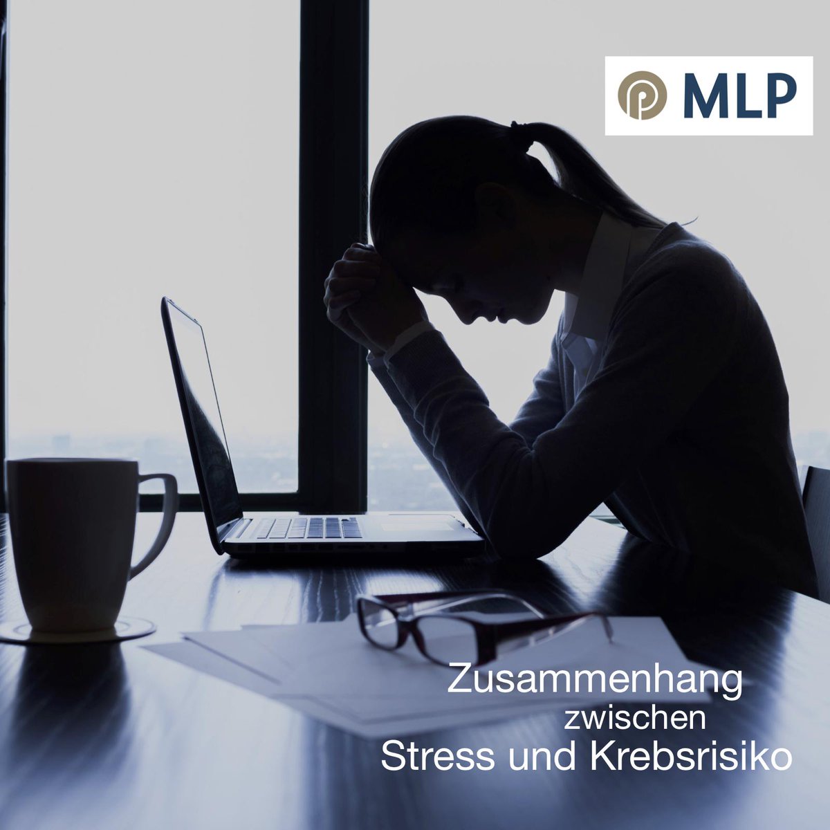 MLP_Hannover tweet media