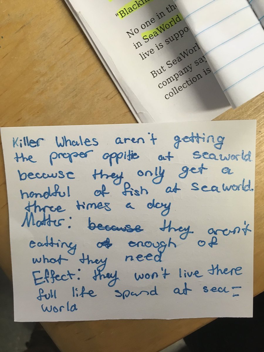 5th graders getting ready to #DEBATE in Argument and Advocacy using Say-Mean-Matter to bolster their arguments and think through evidence!  #celebrateSASD #accessinganalysis ⁦@TCRWP⁩