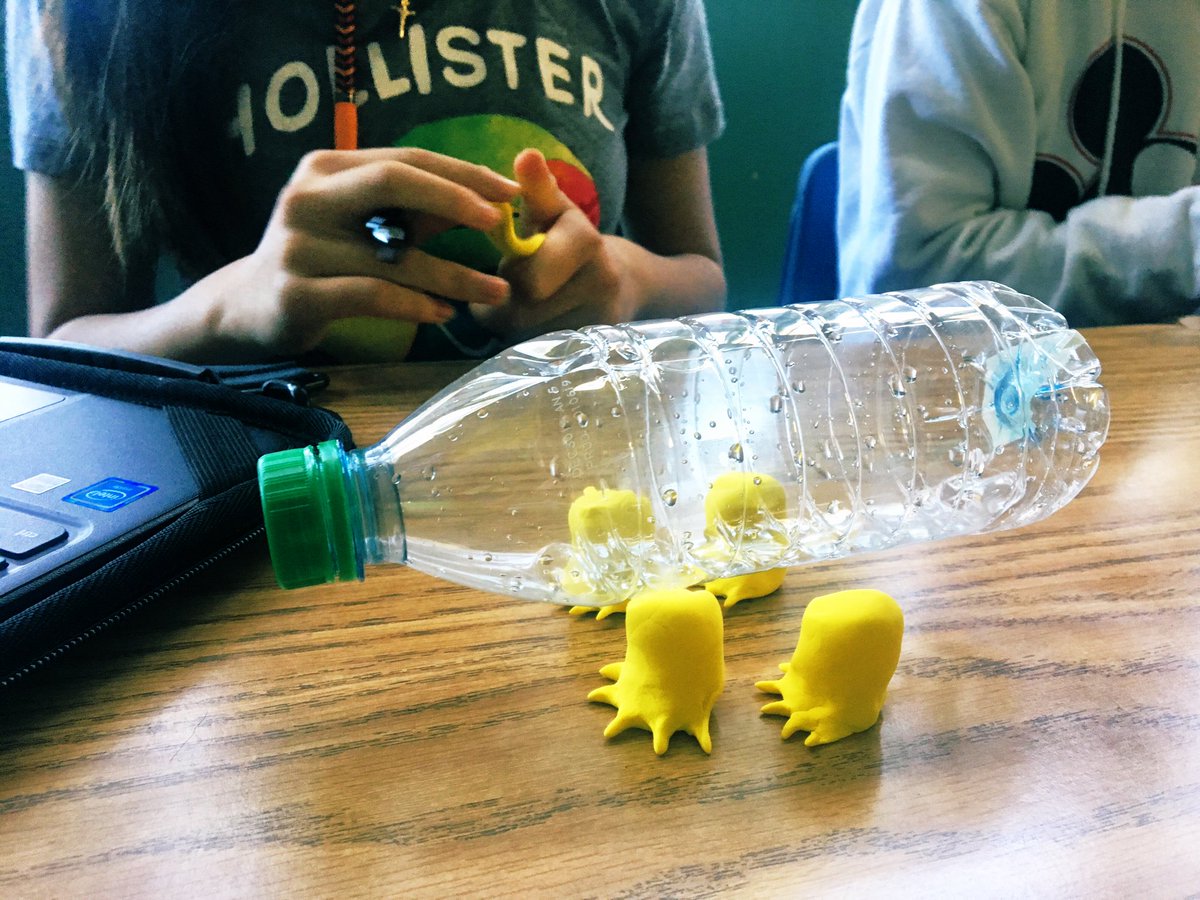 Carson STEAM Magnet tweet media