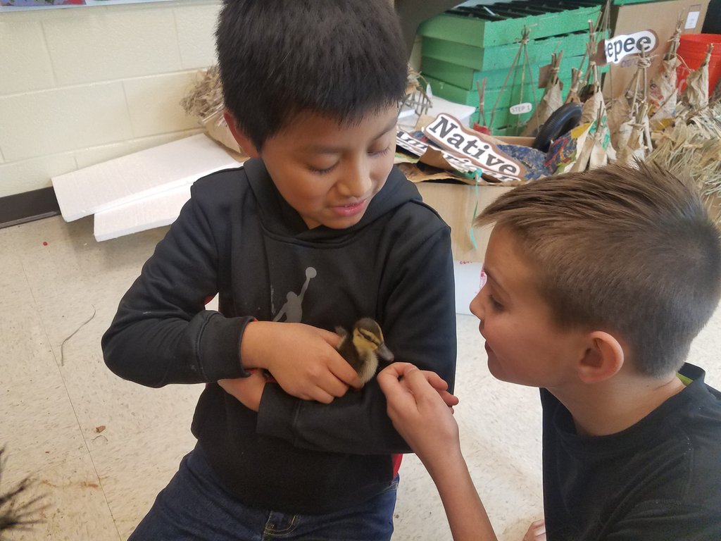 James Vaughn tweet media