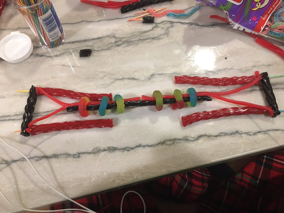 UvaM3Lab's tweet image. What do you think of this new innovative approach to model sarcomeres?  @VLMurrayElem students created these  #musclemodels of the #slidingfilamenttheory #STEMeducation