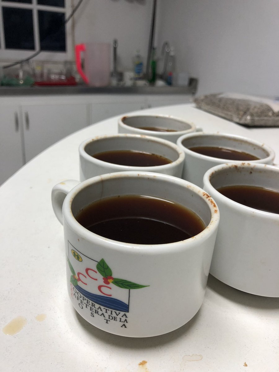 Catando Cafés en Caficosta - no paramos de aprender de esta Región y sus diferentes perfiles - Sierra Nevada, Perija y San Lucas #catacionpublica #caficosta #dondelacomplejidaddeloscafesswhacesimple