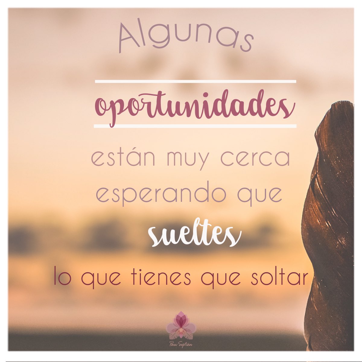 PauSeptienBlog's tweet image. #Miercoles