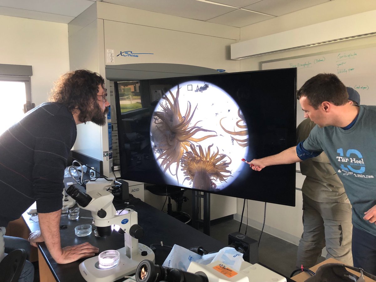 DrBioGC's tweet photo. Biodiversity beyond the naked eye - fun times with scopes, invertebrates and parasites at ⁦@DukeMarineLab⁩ for #dukesb19 https://t.co/9ZN6M66Fu9