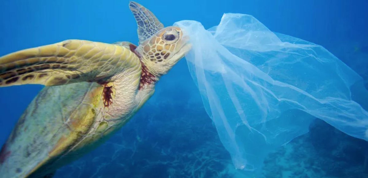 Oceanic Plastic: Why Do We Need to Keep Talking About it? #plasticpollutes
ow.ly/FxxS30o1Zgp