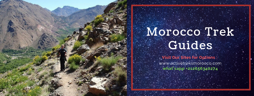 HireGuide's tweet image. 