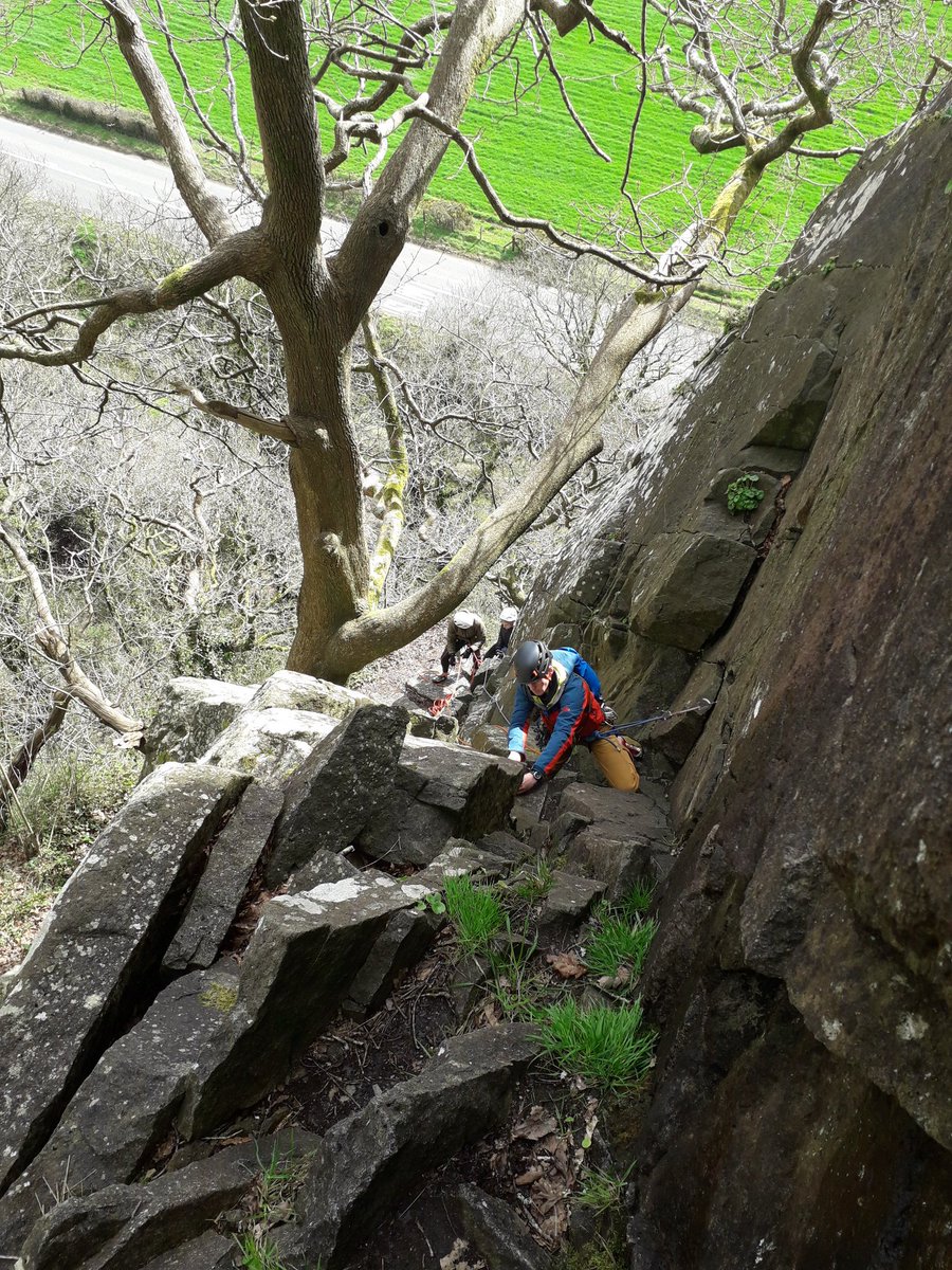 MtnExpertise's tweet photo. Amazing what you see and find when hanging out at Tremadog. #fungi #birdskull #oakbracket https://t.co/PfdRh1yPFj