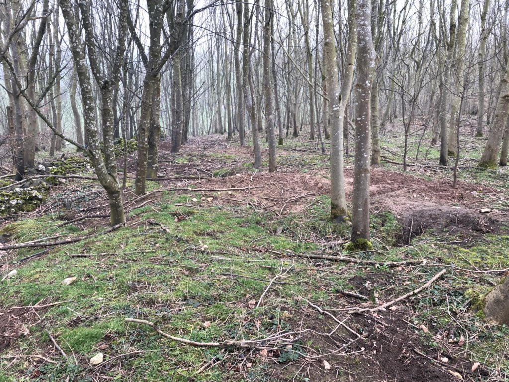 WhitcherWild's tweet image. There’s a little bit of fresh activity around this badger sett. #badger #badgers #badgersett #badgersurvey #ecology #PeakDistrict